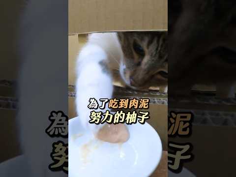 柚子：「給我肉泥！」