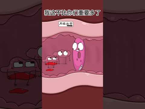 第一次没出血，这是正常的哦 #animation #funny #搞笑 #動畫