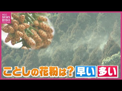 ことしの花粉は「多い」前年比430％も　PM2.5や黄砂は症状を重くする　今のうちにできる対策は？