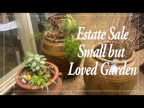 Explore the Enchanting Garden at This Estate Sale! #gardentour #estatesale