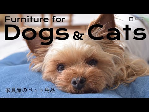 Carefully designed interior pet supplies | Dogs, cats, furniture | Pet houses, pet beds, pet stools