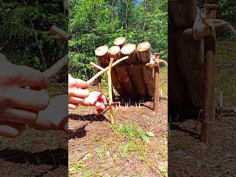 A TRAP MADE OF STICKS  #survival #trap #bushcraft