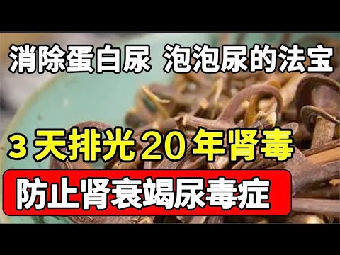 消除蛋白尿、泡泡尿的法宝，3天排光20年肾毒，还能降血压，保护肾脏，防止肾衰竭尿毒症【养生大中医】