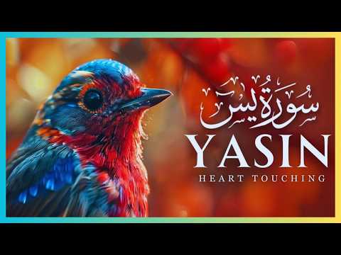 سورة يس تلاوة تريح القلب بصوت هادئ 🤍📖 | Surah Yasin Soothing Recitation for Inner Peace