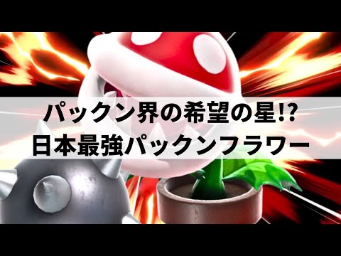 TAS PIRANHA PLANT is GOD TIER! | Smash Ultimate | #xx