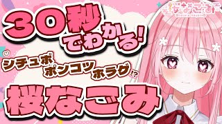 【自己紹介】30秒でわかる！VTuber 桜なごみ【清楚で魔法少女】🌸Self introduction video in 30 sec🌸