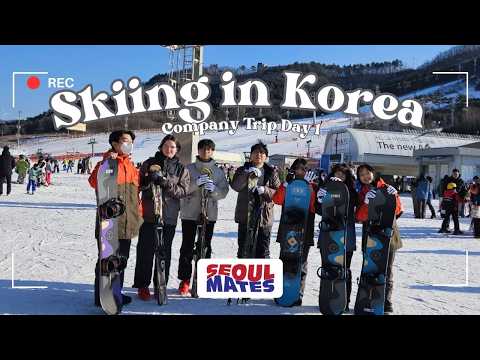 Skiing in Korea | Company Trip 2025 | 한국 겨울에 즐기는 스키여행 I 2025 새해맞이 워크샵