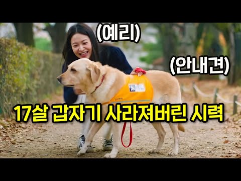 어느 날 갑자기 시각장애인이 된 내게 찾아온 댕댕이 안내견 '갈채'🐶결말포함