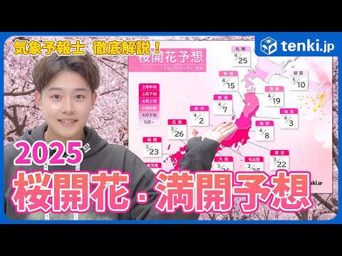 【桜開花・満開予想】2025年の桜の満開時期は関東から北は平年より早め【気象予報士徹底解説】