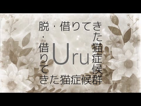 Uru『借りてきた猫症候群』【歌詞動画】