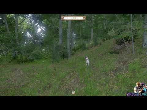 ★ All 9 Negative Perks «Hardcore Mode» Playthrough | Kingdom Come: Deliverance [PS5] ★