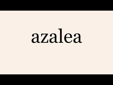 azalea