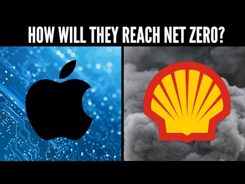 What Are Voluntary Carbon Markets? How To Invest?