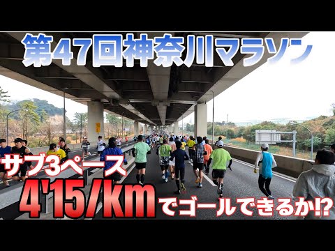 【サブ3に向けて】神奈川マラソン(ハーフ)でサブ3ペースにチャレンジ！余裕をもってゴールできるか？？