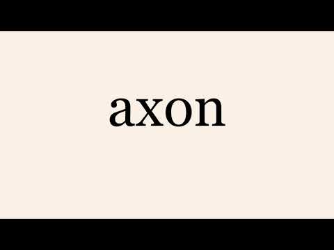 axon