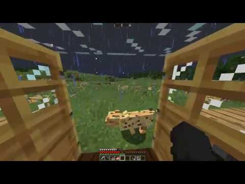 Minecraft, But It's Raining Cats And Dogs...