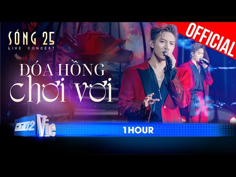 [1 HOUR] - Đóa Hồng Chơi Vơi - Anh Tú ft. Quân A.P | SÓNG 25