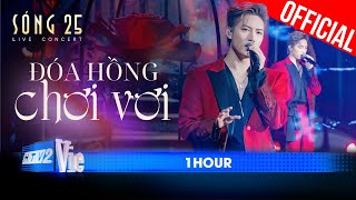 [1 HOUR] - Đóa Hồng Chơi Vơi - Anh Tú ft. Quân A.P | SÓNG 25