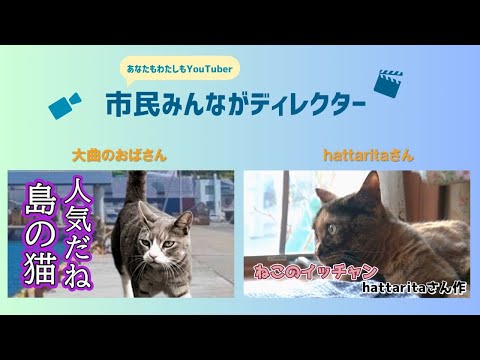 きたひろ.TV「”あなたも私もYouTuber”市民みんながディレクター投稿動画紹介12 」　【猫】【ねこ】　【猫動画】