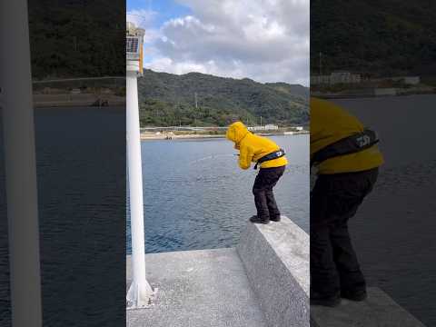 堤防際に落とすだけで釣れてしまう#fishing #釣り