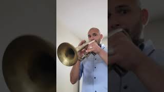 Mr Cool   Trumpet Playthrough