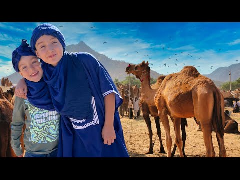 Camel Riding Adventure in Moroccan Desert 🌵 Educational Videos for Kids 🐪 Animals for Kids