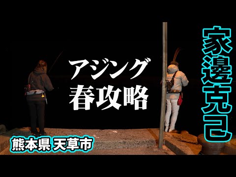 春の天草でアジング＆メバル！釣果を上げるコツ盛りだくさん！ 2/2 『アジングへ行こう！ 27 家邊克己・りのぴこ×熊本アジング 春の天草の旅』【釣りビジョン】