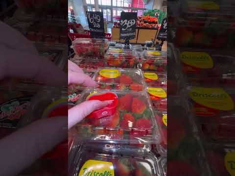 Shopping for ONLY fruit! #minivlogs #shoppingvlog #miniature #shopwithme #shopping