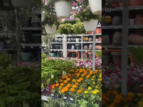 GOING TO HOME DEPOT TO ONLY SEE THE FLOWERS