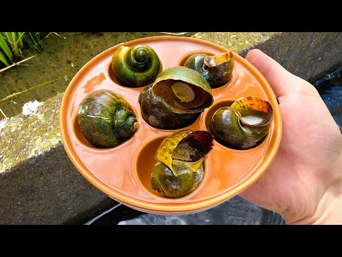 Turning SEWER SNAILS into a FRENCH DELICACY 【ENG SUB】