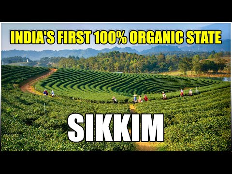 Sikkim: India's First 100% Organic State