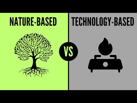 The Different Types of Carbon Credit Projects