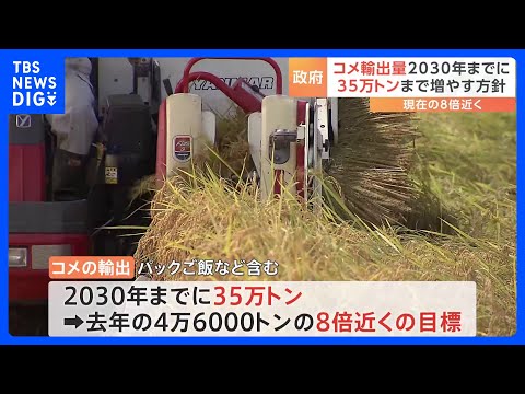 コメ輸出量　政府“2030年までに35万トン”　現在の8倍近くの目標　今月中にも閣議決定の見通し｜TBS NEWS DIG