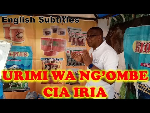 Urimi wa Ng'ombe cia iria