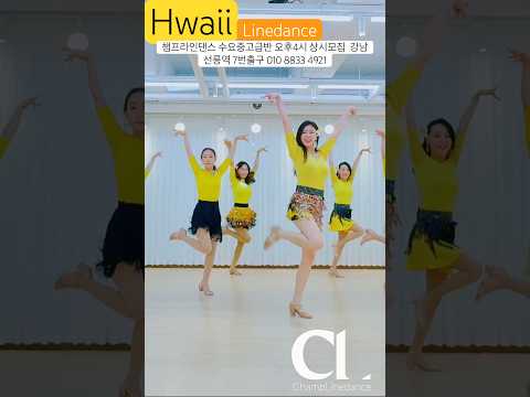 #라인댄스 #hawaii #linedance  #하와이라인댄스 #수요중고급반오후4시 #라인댄스배우는곳 #dance #선릉역7번출구 010 8833 4921