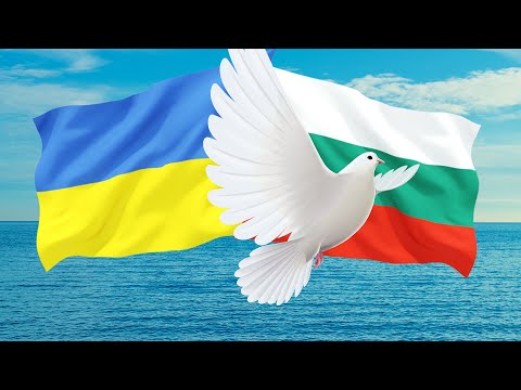 Как живут беженцы из Украины в Болгарии.  Стоит ли ехать?