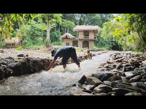 Stream restoration process, and chicken and duck care