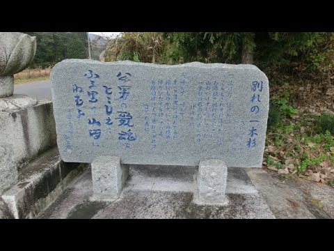 別れの一本杉　／　香西 かおり