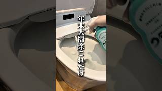 年末大掃除　トイレ編