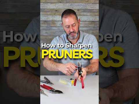 Make Your Garden Pruners Like New Again (EASY SHARPENING TIPS)