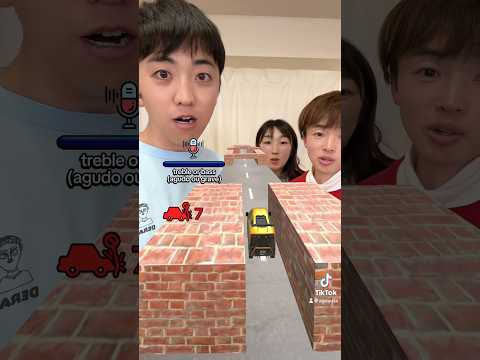 TikTokで流行ってる｢高音低音ゲーム｣に挑戦してみたwww　funny video 😂😂😂