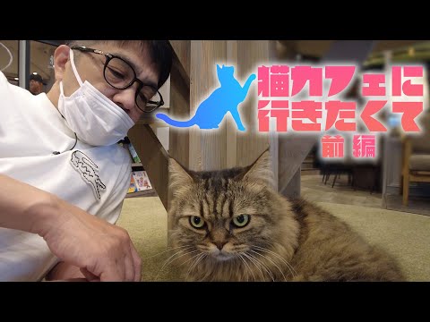 猫カフェに行きたくて！前編