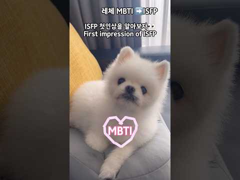 🍀레체MBTI는ISFP🍀#isfp#mbti #내향인 #pomeranian #cutedog #cúncondễthương #mbti일상툰 #mbti만화#shorts #강아지쇼츠