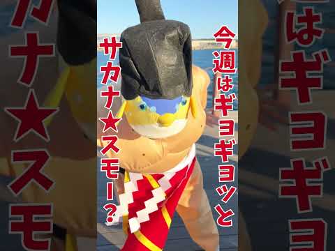 ギョギョッとサカナ★スター！NHK Eテレ 2月16日(金)午後7時25分～【キチジちゃん】 #shorts  #さかなクン