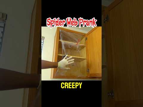 Spider web prank for Halloween #prank #funny #halloween