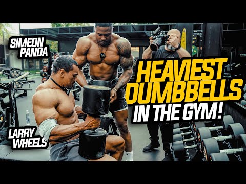 Larry Wheels HEAVIEST Dumbbell Press in my gym!