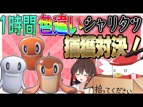 色違い対決！1時間で何体色違いシャリタツを捕まえられるのか！？withぽへチャンネル！【ポケモンSV】【ゆっくり実況】