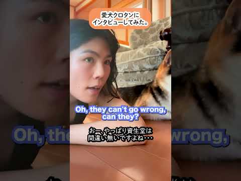 I interviewed my shiba, Kurotan what's his skin type. #Japanese #shiba