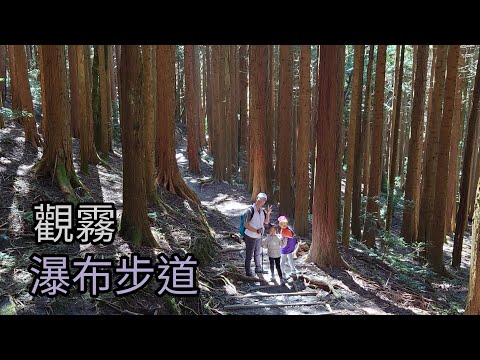 觀霧瀑布步道森林浴（光影繽紛的林道、高海拔的露營區、超香的馬告香腸、熱騰騰的自煮火鍋） 4K