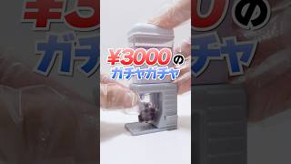 大失敗？3000円の高級ガチャガチャの中身だけで作る、タピオカミルクティーに挑戦🔥 #Shorts #ガチャガチャ #DIY #food